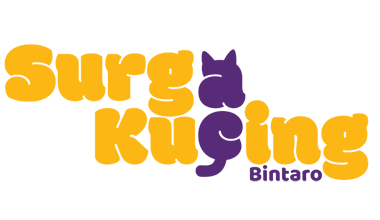 Surga Kucing @Bintaro
