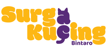 Surga Kucing @Bintaro